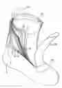 Fig. 01 - Performance footwear, apparel or medical accessory product for hot, cold, and all-weather conditions, the performance footwear, apparel or medical accessory product comprised of a series of material layers