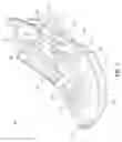 Fig. 02 - Article of footwear having a bladder