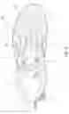 Fig. 06 - Article of footwear having a bladder
