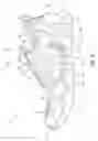 Fig. 09 - Article of footwear having a bladder