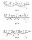 Fig. 08 - WINE RACK