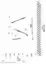 Fig. 16 - Method and system for improving a physiological response
