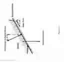 Fig. 14 - Systems and methods for managing a position management protocol based on detected inclination angle of a person