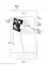 Fig. 09 - Automated image analysis for diagnosing a medical condition