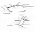 Fig. 01 - Laparoscopic seal bridge