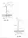 Fig. 05 - SURGICAL CLOSURE APPARATUS AND METHOD