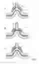 Fig. 06 - MICRODERMABRASION DEVICE