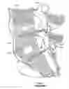 Fig. 03 - Bone screw