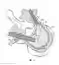 Fig. 19 - Bone screw