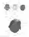 Fig. 08 - Bone fixation devices