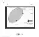 Fig. 16 - Nanoelectroablation control and vaccination