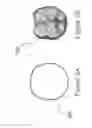 Fig. 07 - PRE-FORMS AND METHODS FOR USING SAME IN THE MANUFACTURE OF DENTAL PROSTHESES