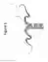 Fig. 06 - Device and method of performing cerclage sacrocervicopexy