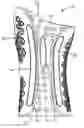 Fig. 01 - WATERPROOF, POLYMERIC BRACE