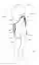 Fig. 02 - Trunk supporting exoskeleton and method of use