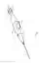 Fig. 02 - Apparatus and method to form entry bleb for subretinal delivery of therapeutic agent