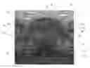 Fig. 01 - TOPSHEETS INTEGRATED WITH HETEROGENOUS MASS LAYER