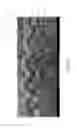 Fig. 20 - TOPSHEETS INTEGRATED WITH HETEROGENOUS MASS LAYER
