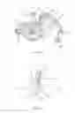 Fig. 02 - Wheelchair-towable article