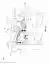 Fig. 02 - Spine alignment and decompression systems