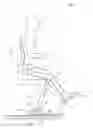 Fig. 03 - EXOSKELETON AND METHOD OF OPERATION THEREOF