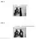 Fig. 02 - Cosmetic composition capable of simultaneously coloring hair and relaxing curls
