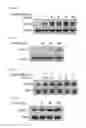 Fig. 09 - Method for preparing 3,6-anhydro-L-galactose, and use thereof