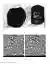 Fig. 02 - Polysaccharide delivery particle