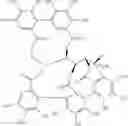 Fig. 04 - Cosmetic and therapeutic methods utilizing an extract of lythrum salicaria