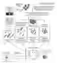 Fig. 01 - Customized cosmetic compositions, and methods of rejuvenating and utilizing conditioned media and/or components thereof