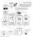 Fig. 05 - Customized cosmetic compositions, and methods of rejuvenating and utilizing conditioned media and/or components thereof