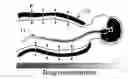 Fig. 01 - Apparatus for compound dispersion