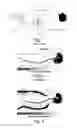 Fig. 02 - Apparatus for compound dispersion