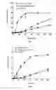 Fig. 07 - Solid dispersion of decoquinate, a preparation process and its application