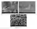 Fig. 06 - Formation of stable submicron peptide or protein particles by thin film freezing