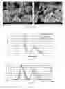 Fig. 09 - Formation of stable submicron peptide or protein particles by thin film freezing