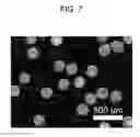 Fig. 08 - Nanowire-coated microdevice and method of making and using the same