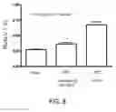 Fig. 09 - Modulators of the prostacyclin (PGI2) receptor useful for the treatment of disorders related thereto
