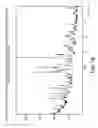Fig. 20 - Modulators of the prostacyclin (PGI2) receptor useful for the treatment of disorders related thereto