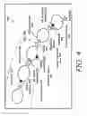 Fig. 06 - Anti-RDS compounds and method of manufacture and administration thereof to induce dopamine homeostatis