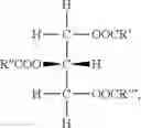 Fig. 02 - Compositions and methods comprising medium chain triglycerides for treatment of epilepsy