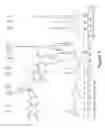Fig. 10 - Polymorph of granaticin B