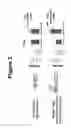 Fig. 03 - Methods for treating a cytomegalovirus infection
