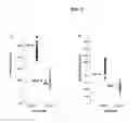 Fig. 07 - Compositions and methods for reduction of amyloid-beta load