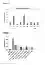 Fig. 16 - Vascular calcification
