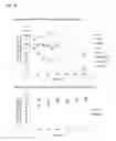 Fig. 09 - Methods and compositions for treating eukaryotic infections via altering aggregation dynamics of Raptor/KOG1