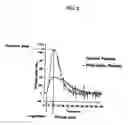 Fig. 03 - NON-ANTICOAGULANT SULFATED OR SULFONATED POLYSACCHARIDES