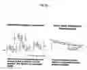 Fig. 52 - NON-ANTICOAGULANT SULFATED OR SULFONATED POLYSACCHARIDES