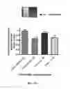 Fig. 47 - Microsphere-based delivery and ex vivo manipulation of dendritic cells for autoimmune therapies