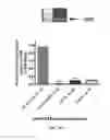 Fig. 48 - Microsphere-based delivery and ex vivo manipulation of dendritic cells for autoimmune therapies